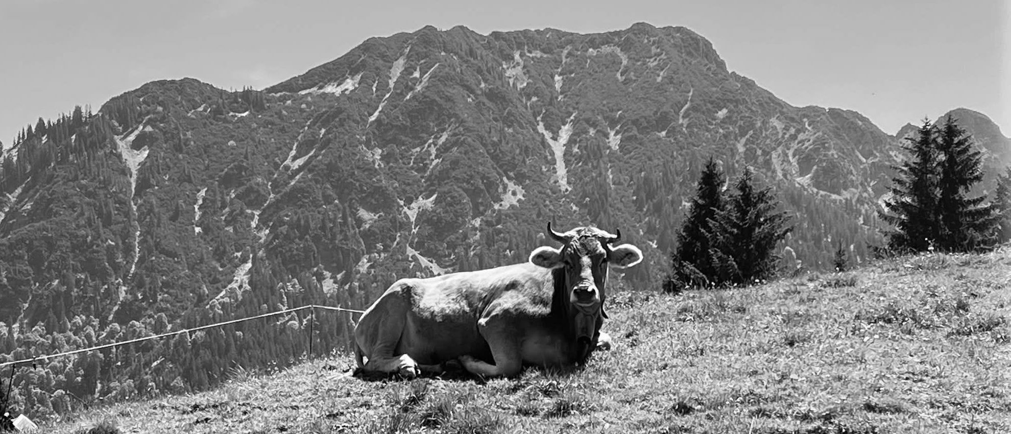 Oberstdorf, Allgäu Alps